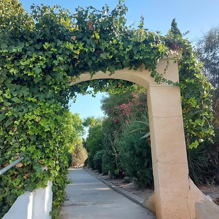 Bebi Casa شقة تورّيفيِخا